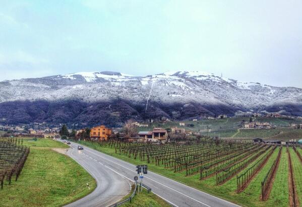 View of #Valdobbiadene hill today #Prosecco #DOCG #snow - credits @mijo_ito