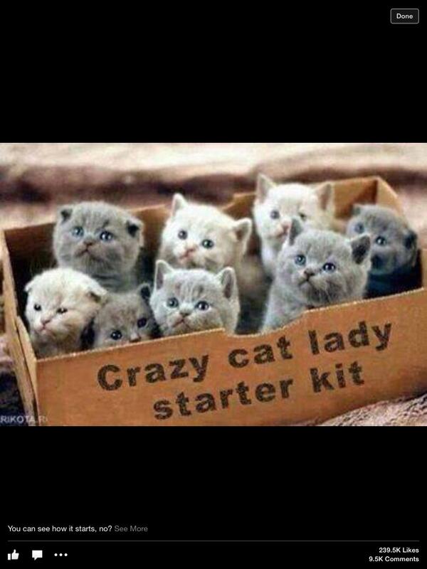 Danni152's tweet photo. @suzim84 for you now or later??? http://t.co/G5s5lUZ0td