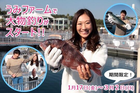 横浜 八景島シーパラダイス公式 Al Twitter 八景島シーパラダイス うみファームの大物釣りイメージ画像はこちら 一人では食べきれないボリュームですので ご家族 ご友人同士でチャレンジしてください Http T Co 2vqng1w7jp Twitter