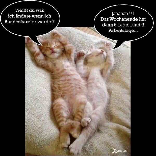 sin_is's tweet photo. http://t.co/5ADSFrn6Ie