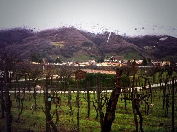 Amazing morning in #prosecco land. Take a look: #valdobbiadene snowy hils