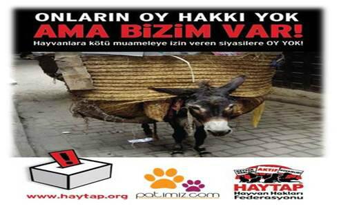 patimiz's tweet photo. Hayvanlara Kötü Muammeleye izin veren siyasilere OY YOK! http://t.co/H4vO6UJWzc