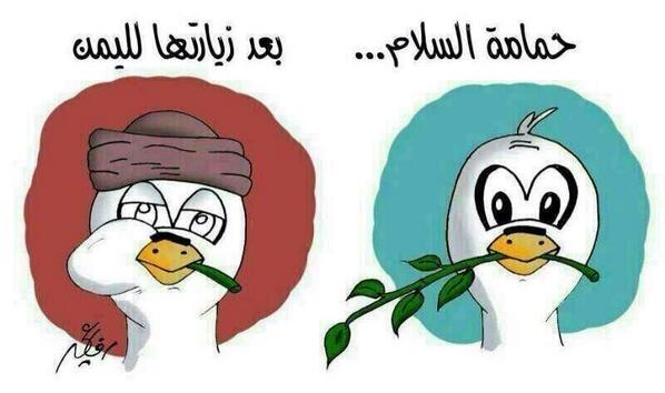 MunaAlshehhi's tweet photo. حمامة السلام بعد زيارتها لليمن..

. http://t.co/mi63vCQzjz
