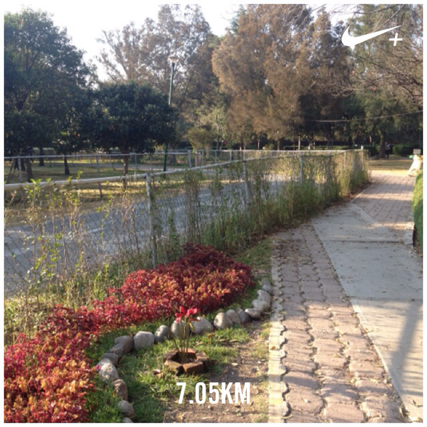 runnutsrun tweet picture