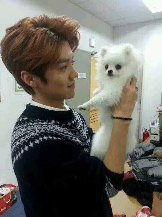 Exo L International On Twitter Unseen Photo Luhan I Can T