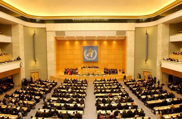 WHO Executive Board calls for a World Health Assembly resolution on the health system’s role in addressing violence