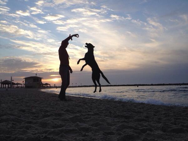 JoshUns's tweet photo. [photo]
Who needs DSLR???
iPhone 4S - No filter 
#iphoneography http://t.co/IudbH7mK1U