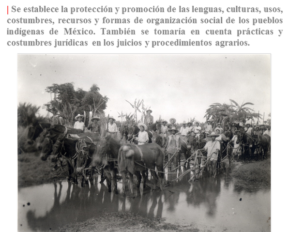 EFEMERIDESMX's tweet photo. En 1992 se reforma el artículo 4º constitucional, reconoce la pluralidad cultural y los derechos de los  indígenas http://t.co/uZ96pMqlC3
