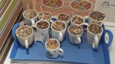 Nu het buiten kouder wordt zorgen onze bevers goed voor de #vogels #scouting #ridderhof