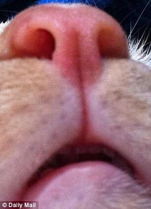 muchginger's tweet photo. KISS ME HARD BEFORE YOU GO http://t.co/xy3tVuAeG6