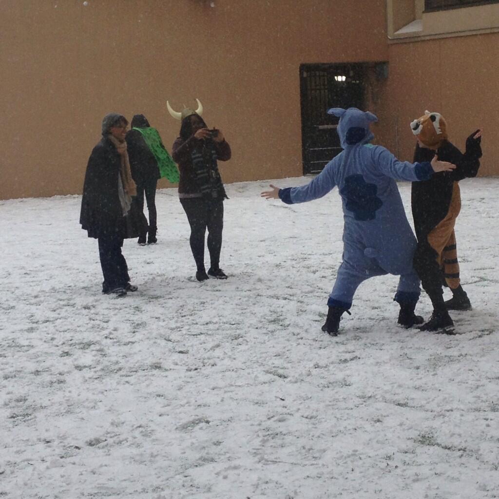 BfF9t3-IYAEyX3y.jpg:large