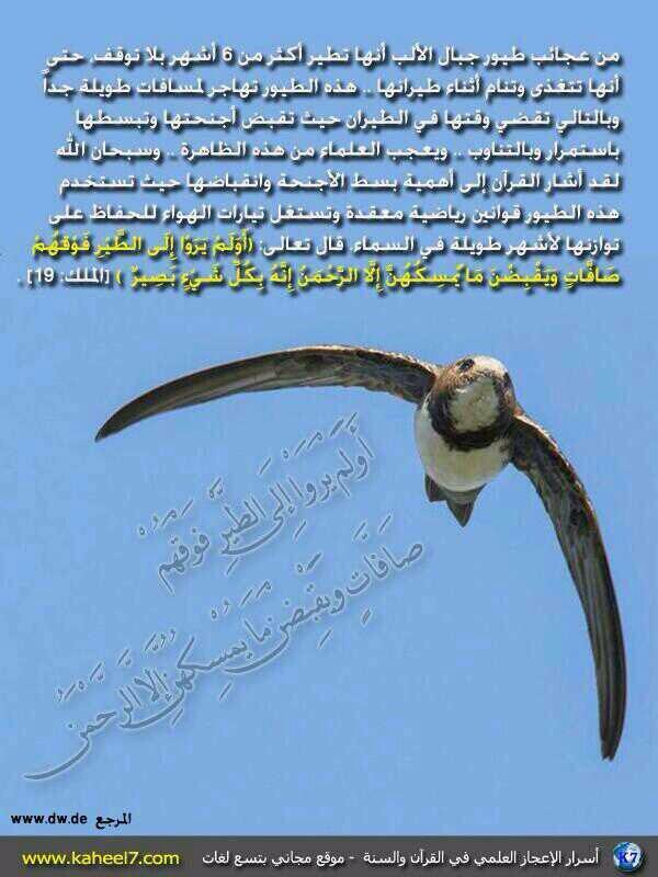 sa20002eed tweet picture