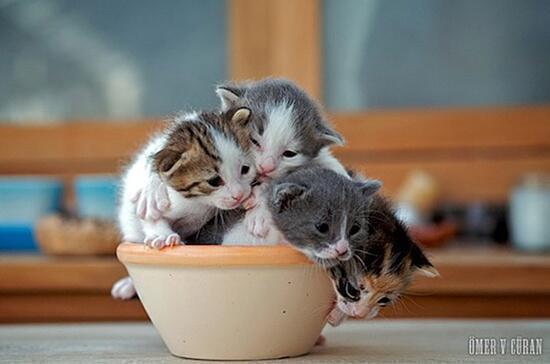 _Paisajes_'s tweet photo. Donde cabe uno, caben todos. http://t.co/B17XEUujcw