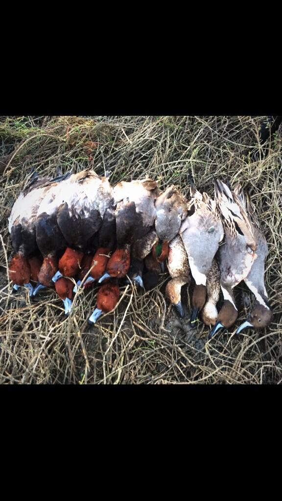 whistlingwings2's tweet photo. Last day of the season goin out right! http://t.co/kq63dJLjUP