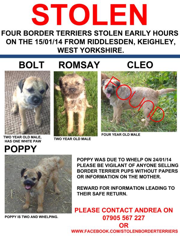 Some good news for everyone following the story of the 4 stolen BT's, Cleo has been found in #Bradford #btposse #RT
