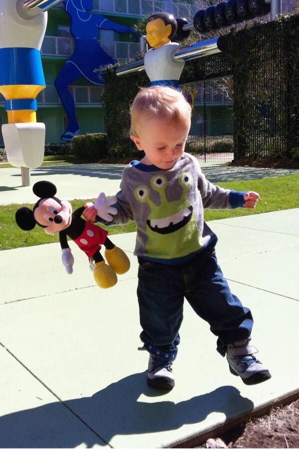 All Creatures Animal tweet media