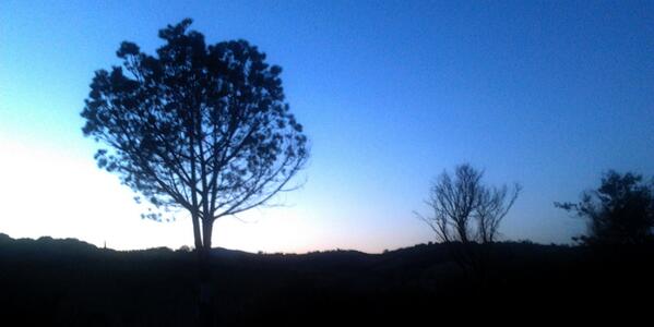 PieveVecchia's tweet photo. days are getting longer :) #Maremma #Toscana http://t.co/cRFi9N8Pbc