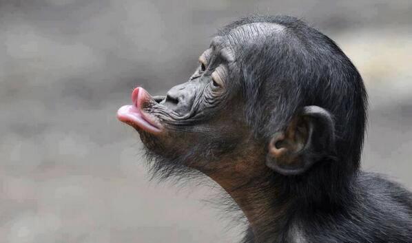 DesireeNasreen's tweet photo. @Shimaganish ... Hell yeah!!.. Bring those lips closer...lol ;-)))) http://t.co/uxEVhPP1vJ