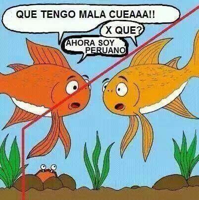 Jajaja! !!