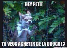 ImTake__'s tweet image. 