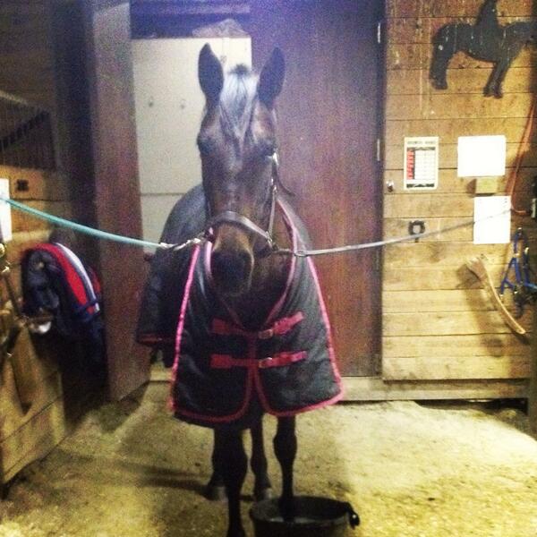 pretty_rider's tweet photo. #BellLetsTalk http://t.co/aAKD8nQfSD