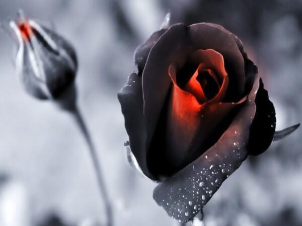 DesireeNasreen's tweet photo. @vleeco .. Hi Virgil.. Hope you're having an awesome day...xxx http://t.co/Mvf8stCqMS