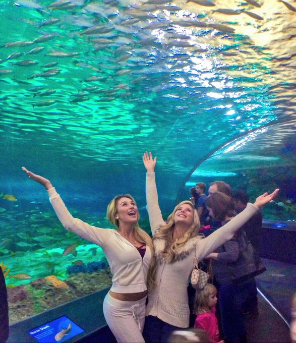 Ripley's Aquarium of Canada escapade with my love @playmatekhloe ? 

#Travel #Love #Toronto #Happiness
