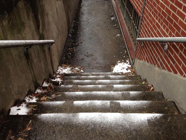 adultswim's tweet photo. Recon team returns. Stairs are impassable. Footprints found but bodies lost. Morale is crumbling. #snowmageddon2014 http://t.co/QfEKTjzUj5