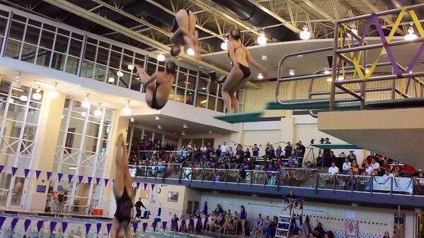 uniswimdive's tweet photo. We dove strong against ISU posting several season and personal bests! MVC Champs in 16 days #Panthers #UNIDive http://t.co/wZ6Yj979Qb