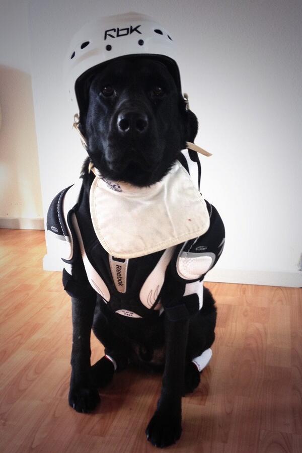 New player... #hockey