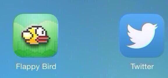 RT if birds ruined ur social life