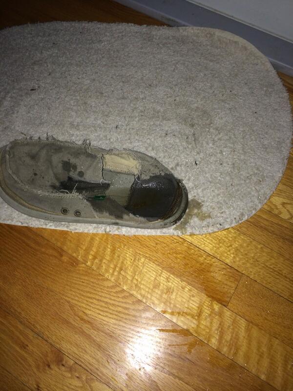 jimburgermaker's tweet photo. #BellLetsTaIk about how my dog just peed in my show http://t.co/uNk4ejuBcp