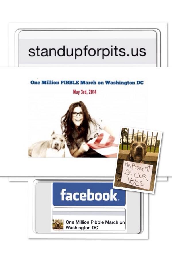 L_Alyse_L's tweet photo. @ucansavedogs 1st ever Animal March in Washington DC . Spread the word!!*** #endbsl #stopanimalabuse #standupforpits http://t.co/1NGzvbFAbW