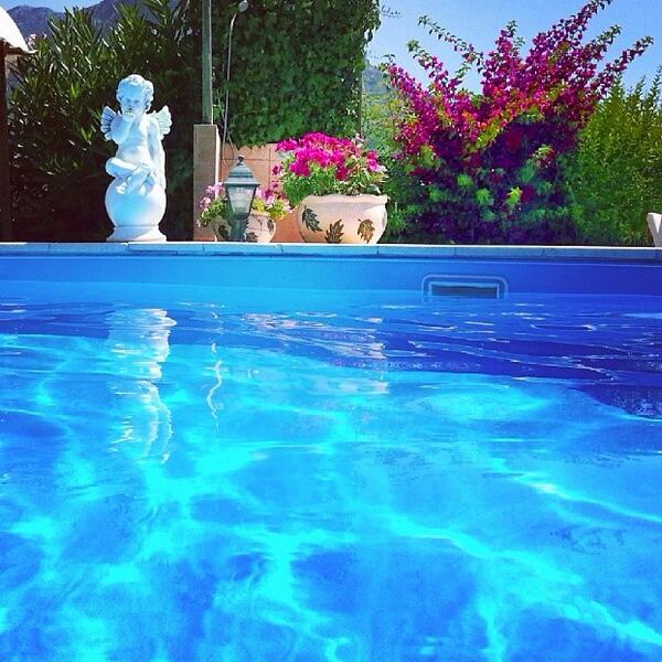 HumodAlSabah's tweet image. مساء الورد
.