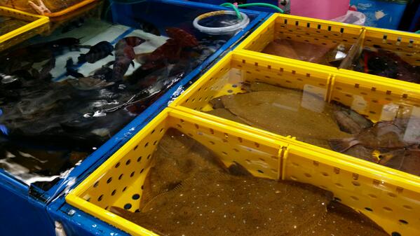 긍정적인 사고방식이 나자신을바꾼다.승 tweet media