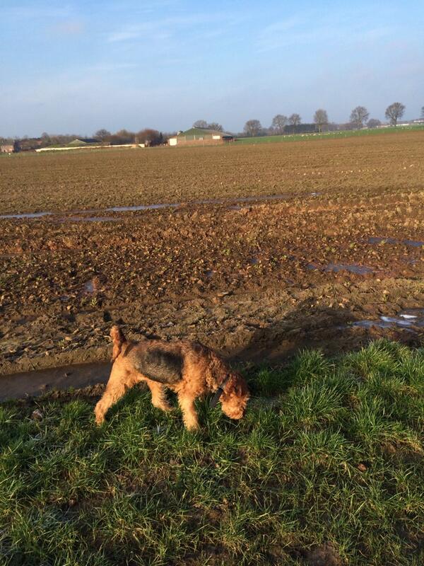 Wk1978's tweet photo. Mooie ochtend voor een flinke #wandeling met de #hond http://t.co/yg0V2ZpqYh