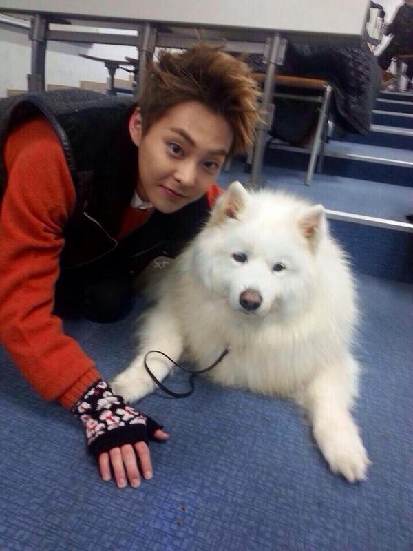 EXO_MAMA12's tweet photo. [PHOTO] Xiumin กับน้องหมาน่ารัก cr. theunicorn1007 ❤️❤️❤️❤️ http://t.co/RYOQ9vddUP