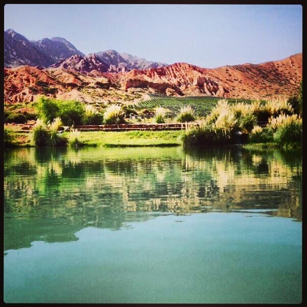 EstanciaUspa's tweet image. Buen día / Good Morning!