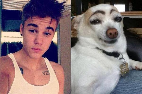 JustinTeViolare's tweet photo. Hahahahahahahaha D: http://t.co/bzOqmlTg2g