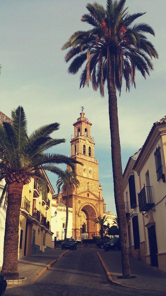 TapasUtrera's tweet photo. ¡¡Buenos días!!
De utreranas maneras. http://t.co/wdXjBEm2o8