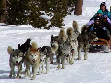 Anyone want to carpool?