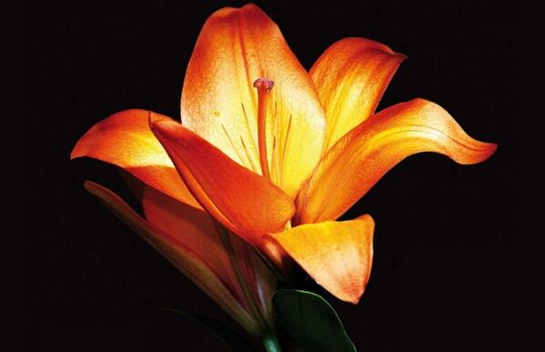 Likekit's tweet image. Os gustó #50SombrasDeGrey? Aquí os dejamos las mejores novelas eróticas de 2013. likekit.com/blog/mejores-n…