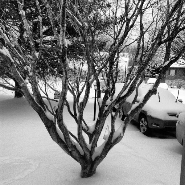 jlmahon76's tweet photo. #todaysnow rehoboth beach de http://t.co/MEuKSHPZ13