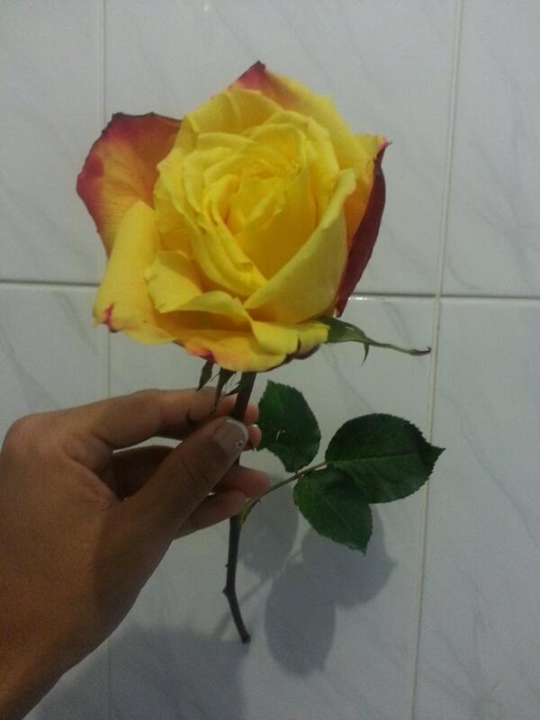 Beccalicious tweet media