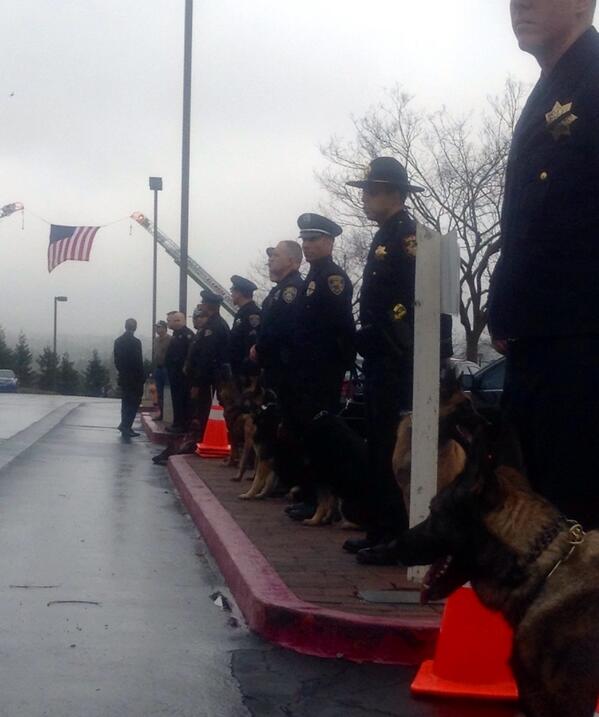 nataliealund's tweet photo. Dozens of police K9s and their handlers line the sidewalk @insidebayarea #bartshooting http://t.co/Wanznu5a1O