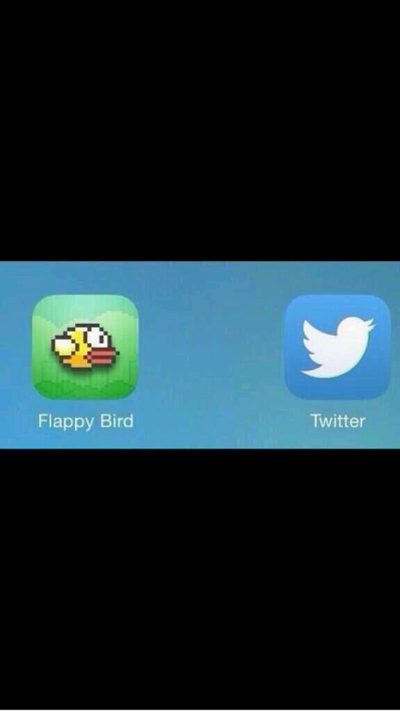 2 birds that ruined my life: