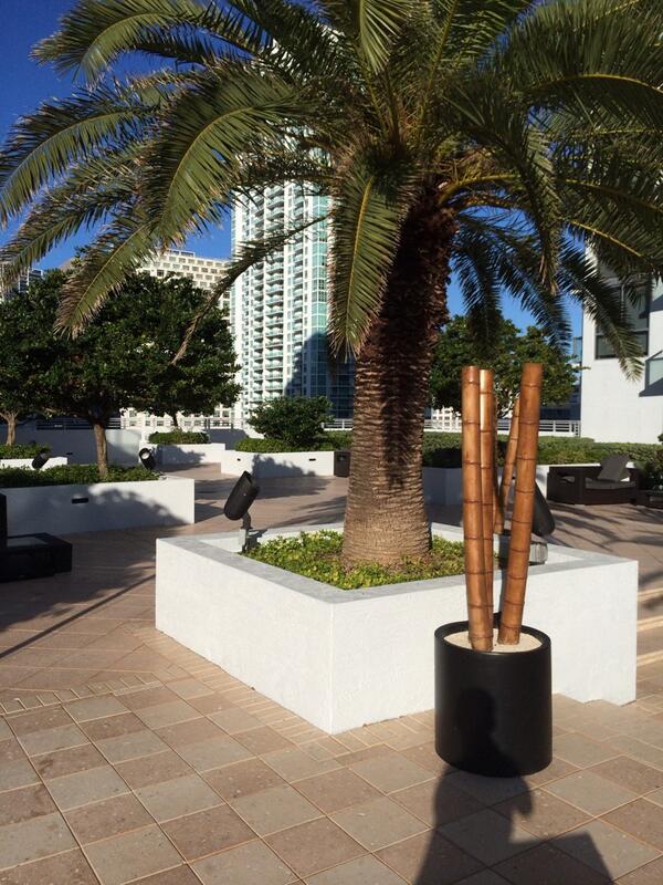 MooseManRx's tweet photo. http://t.co/4qcCzdyRo8
