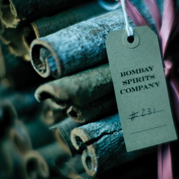 BombaySapphireA's tweet photo. #BombayBotanicals: #CassiaBark, in the same family as cinnamon, brings light warmth and sweetness to #BombaySapphire. http://t.co/eEONuaWPjt