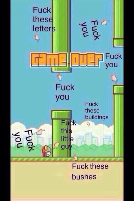 flappy_probs5's tweet photo. When I die on flappy bird. http://t.co/6GhhLvvhwr