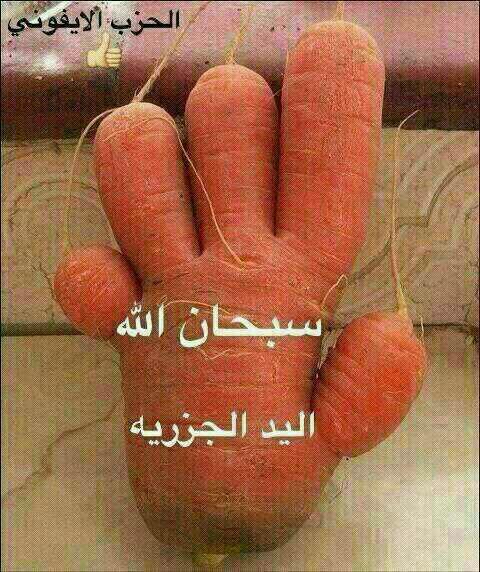 _ranosah2012 tweet picture